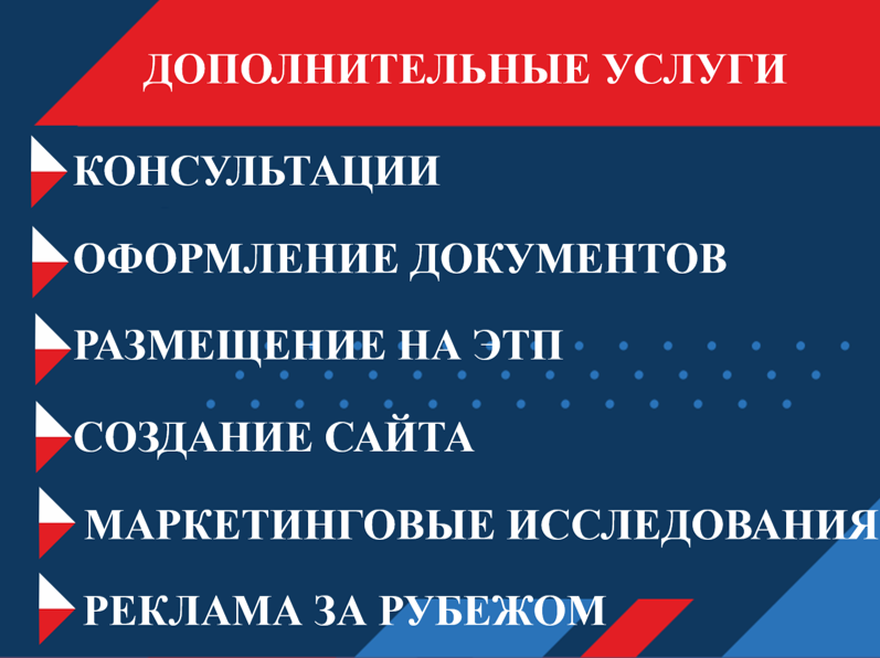 dop usluga2024